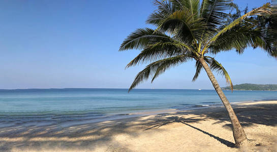 海洋 旅游业 海滩 梦想 海湾 热带 天空 夏天 美丽的