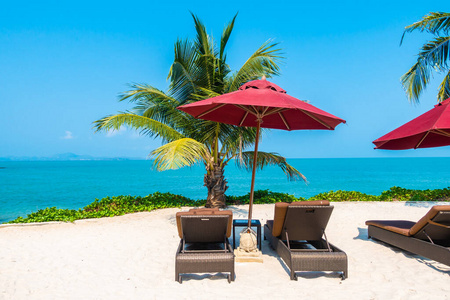 旅行 假日 梦想 美丽的 泻湖 绿松石 海湾 棕榈 海滩