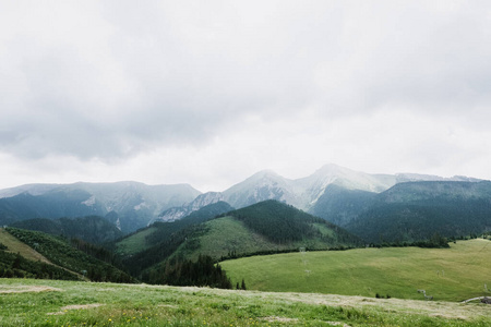 小山 旅游业 森林 全景图 高的 公园 旅行 美女 环境