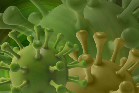 冠状病毒或其它病毒的绿色病毒株模型。冠状病毒流行的概念。显微镜病毒2019 nCov，3D渲染