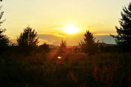 美丽的 太阳 日落 天气 季节 自然 美女 夏天 风景 傍晚