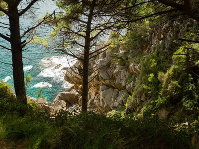 黑山 夏天 岩石 森林 秋天 自然 风景 木材 伍兹 公园