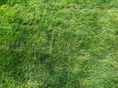 特写镜头 夏天 土地 墙纸 足球 环境 草坪 领域 自然