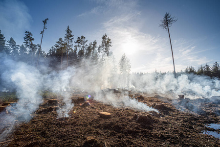 野火过后硝烟弥漫的大田.