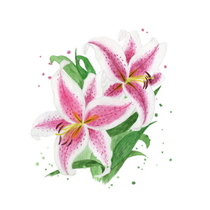 素描 美丽的 花束 夏天 花瓣 邀请 自然 卡片 百合花
