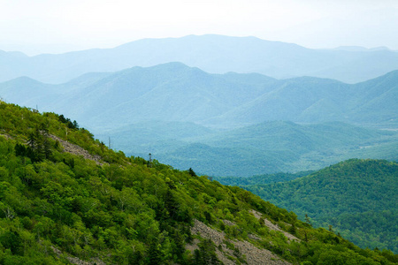 天空 小山 环境 美丽的 夏天 风景 自然 德国 公园 草地