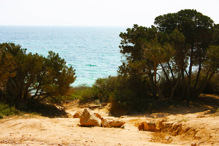 地中海 旅游业 美丽的 西班牙 海湾 海岸 卡拉 地标 游客