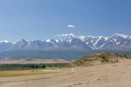 自然 西伯利亚 俄罗斯 旅游业 阿勒泰 森林 天空 阿尔泰