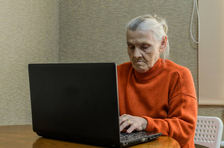 计算机 肖像 在线 祖母 商人 技术 笔记本 成熟 夫妇