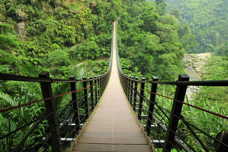 季节 人行道 自由 环境 森林 台湾 生态学 风景 外部