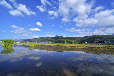 旅行 季节 外部 台湾 反射 自由 自然 生态学 夏天 风景