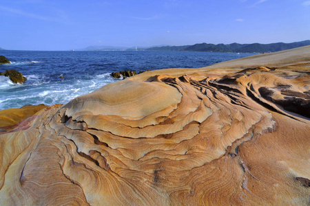 生态学 外部 环境 海滩 风景 季节 旅行 自然 情景 自由