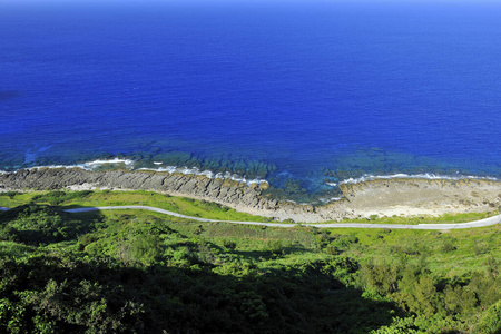 夏天 生态学 海岸线 旅行 自然 情景 风景 海滩 自由