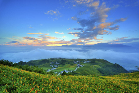 台湾 自然 自由 环境 生态学 旅行 季节 小山 天空 农场