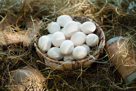 母鸡 稻草 农场 农业 食物 早餐 鸡蛋 自然 篮子 干草