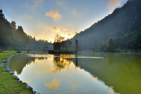 季节 环境 外部 风景 森林 杉属 自然 生态学 台湾 自由