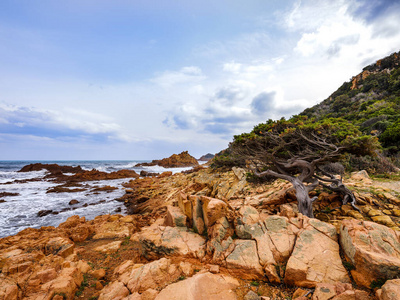 夏天 海滩 海岸 海岸线 悬崖 海景 斑岩 波动 意大利