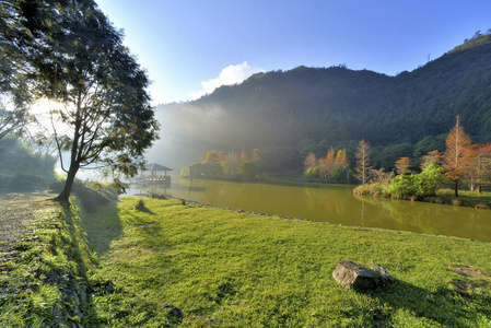 自由 自然 森林 风景 外部 杉属 旅行 环境 季节 台湾