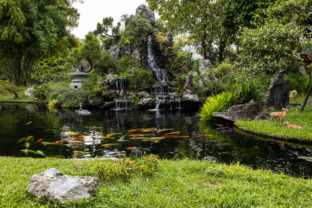 木材 旅行 植物 夏天 日本人 池塘 日本 房子 风景 公园