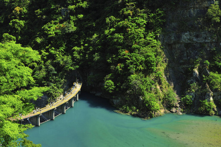 自然 风景 环境 森林 自由 旅行 情景 泰国 生态学 季节