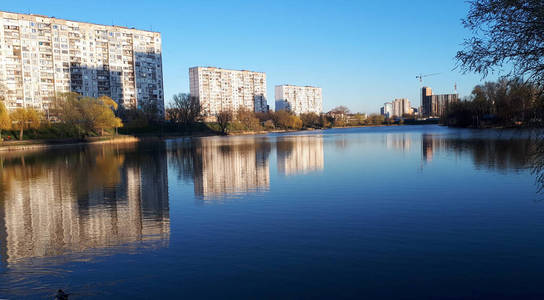 美国 摩天大楼 天际线 天空 城市景观 反射 黄昏 加拿大