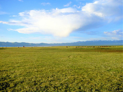 自然 谷仓 小屋 草地 国家 天空 领域 村庄 风景 乡村