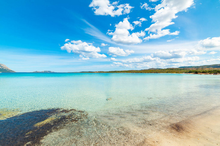 海滩 海景 海岸 风景 公园 美丽的 海洋 波浪 海滨 夏天