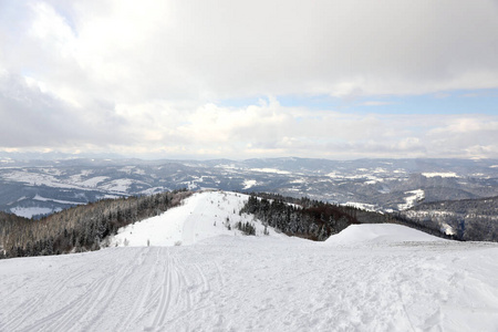 冷杉 娱乐 场景 天空 冻结 冰冷的 滑雪 美女 求助 小山