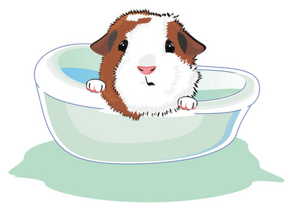 仓鼠洗澡简笔画图片