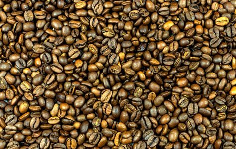 种子 美食家 浓缩咖啡 咖啡 纹理 能量 食物 芳香 饮料