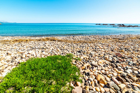 绿松石 意大利 海景 太阳 旅行 海滨 颜色 旅游业 海滩