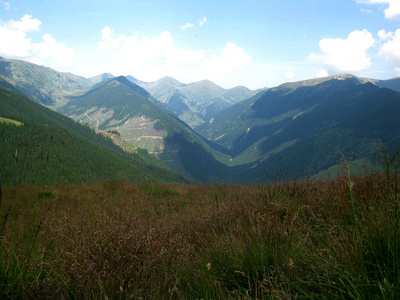 岩石 喀尔巴阡山 自然 登山 风景 阿尔卑斯山 旅行 环境