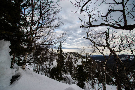 阳光 岩石 冬天 美丽的 自然 风景 早晨 滑雪 木材 天空