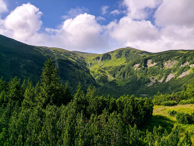 薄雾 喀尔巴阡山 傍晚 风景 植物 颜色 日出 早晨 自然