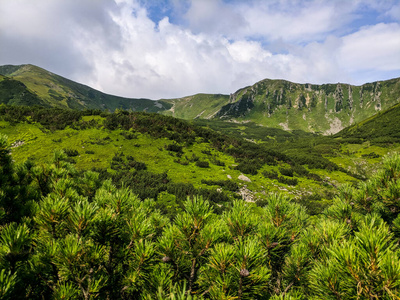 风景 傍晚 早晨 全景图 公园 森林 黄昏 领域 小山 夏天