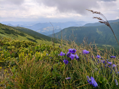 黄昏 领域 天空 国家的 草地 旅行 岩石 早晨 夏天 环境