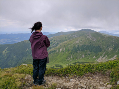 阳光 健康 森林 植物 野生动物 小山 场景 公园 国家