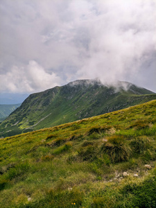 夏天 风景 美丽的 天堂 假期 自然 早晨 国家 黄昏 草地