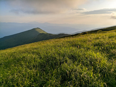 薄雾 场景 阳光 森林 秋天 领域 旅游业 季节 全景图