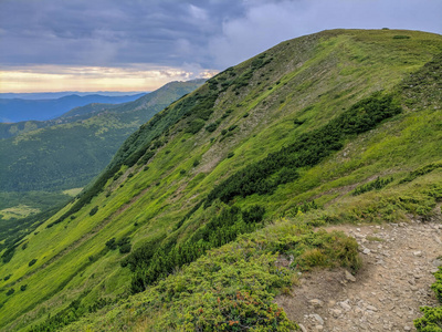 假期 风景 全景图 小山 土地 领域 黄昏 森林 夏天 国家的