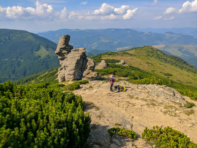 天空 草地 阿尔卑斯山 健康 全景图 早晨 环境 森林 悬崖