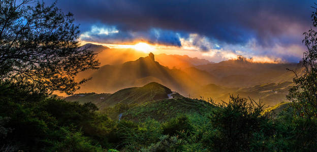 自然 公园 旅行 夏天 小山 太阳 美丽的 美女 森林 颜色