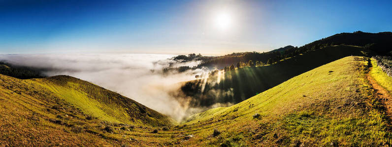 季节 旅行 太阳 草地 环境 小山 夏天 秋天 早晨 美丽的