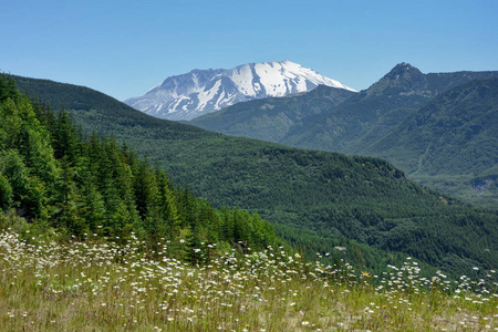 风景 美丽的 冰川 夏天 天空 山谷 反射 全景图 森林