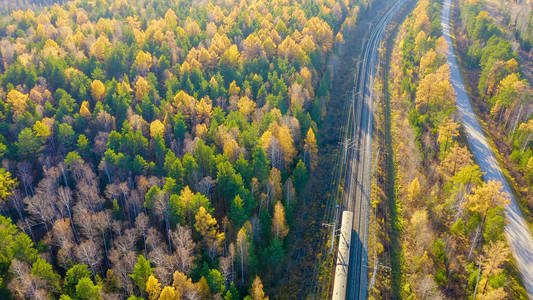 美丽的 森林 空气 旅游业 无人机飞行 火车 铁路 太阳