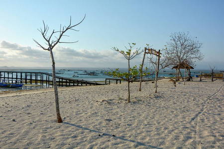 海洋 海滩 地平线 风景 沙漠 天空 假期 夏天 旅行 自然