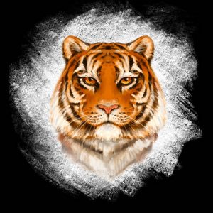 彩色老虎插图照片