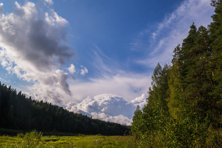 全景图 领域 美丽的 山谷 国家 草地 旅行 森林 小山