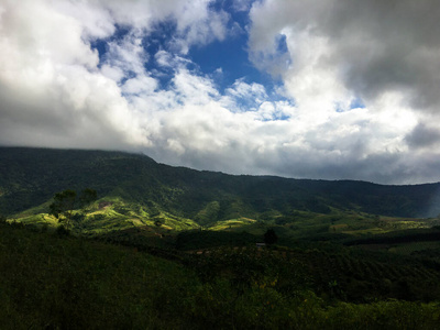 乡村 天空 旅游业 夏天 土地 全景图 风景 森林 自然