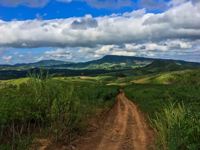 公园 场景 天空 太阳 黎明 美丽的 季节 日出 风景 土地